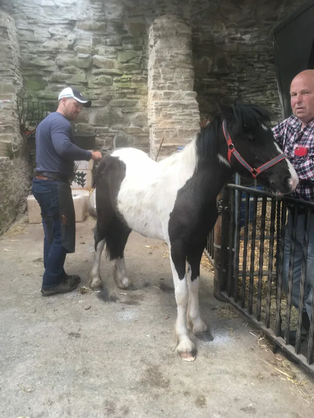Farrier call out charge or hoof trim